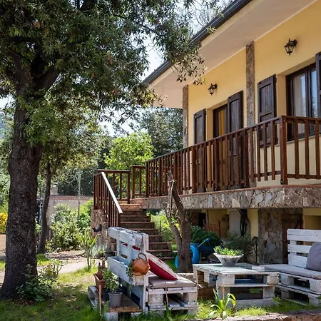 Barbara Sardinia * 多穆斯-德玛丽亚