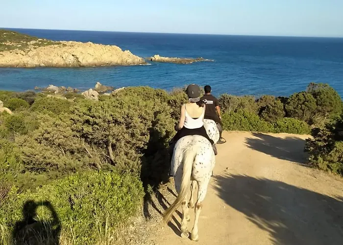 Barbara Sardinia * 多穆斯-德玛丽亚