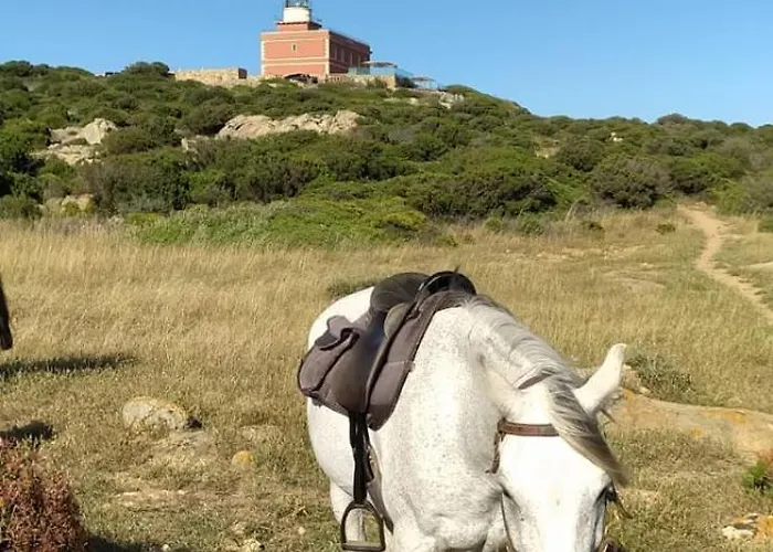 Barbara Sardinia * 多穆斯-德玛丽亚