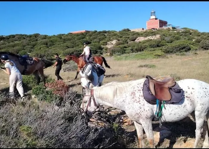 Barbara Sardinia 公寓 多穆斯-德玛丽亚
